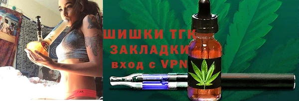 ешки Аркадак