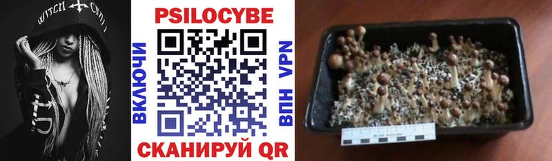 Купить закладки  Стрежевой  Галлюциногенные грибы ЛСД 
